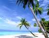 Filitheyo Island Resort 